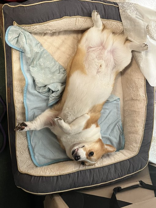 おはようございます。 