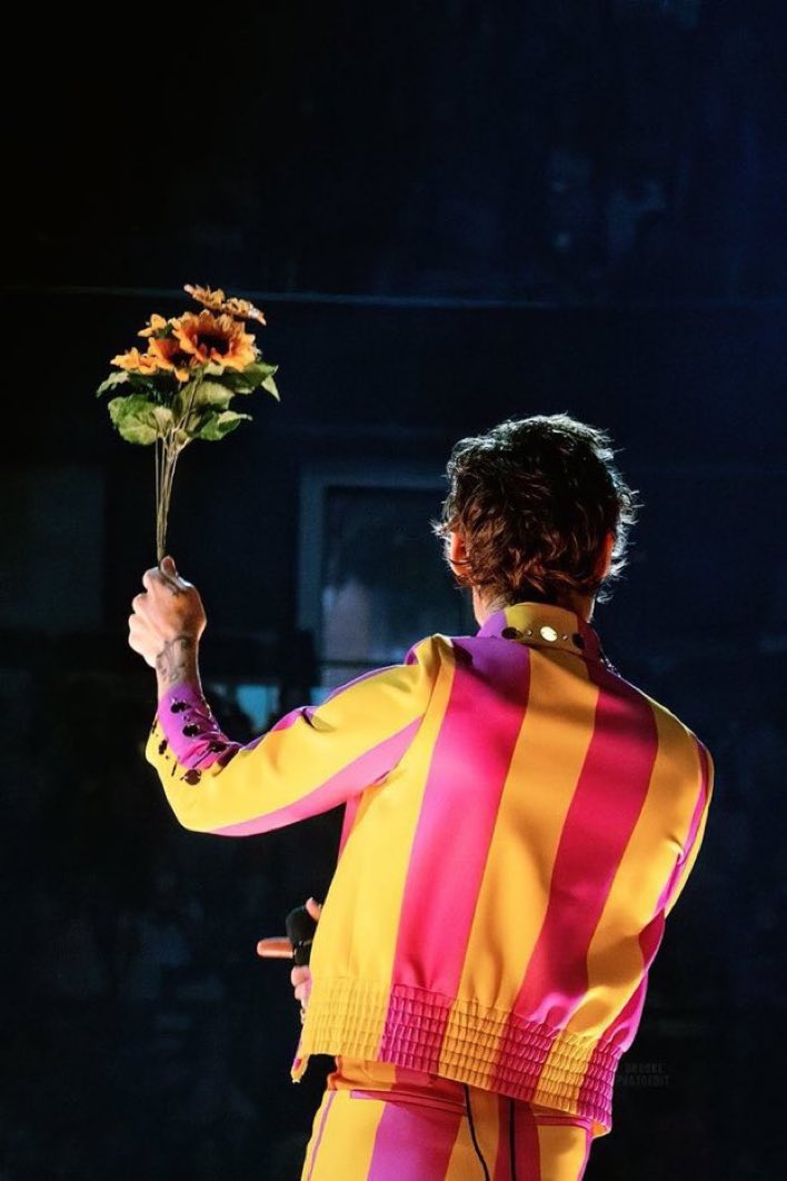 galitzinerry's tweet photo. bring back sunflower on the setlist for auslot im so serious. down on my knees begging please kind of serious https://t.co/B2s379bvbP