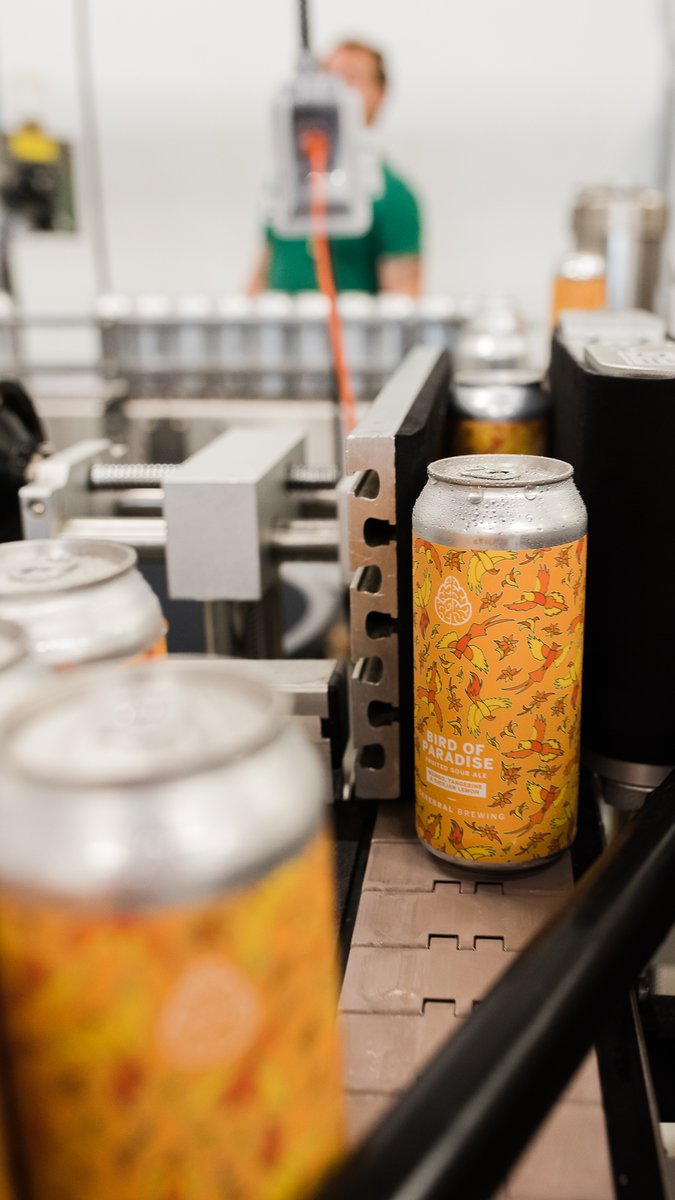 What Bird of Paradise should we brew next?