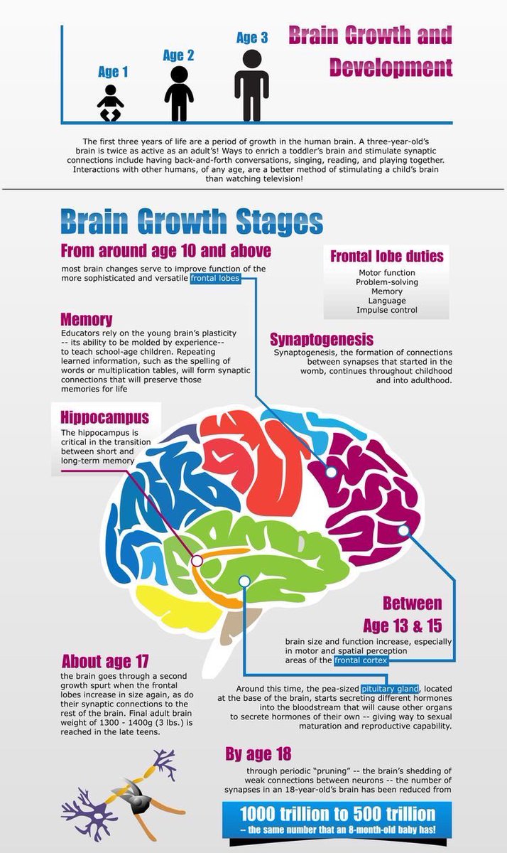 imedverse's tweet image. Brain Growth and Development

#TipsForNewDocs #MedEd #MedTwitter #medicine #medical #medicare #health #healthcare #FOAMed #ClinicalPearl #clinicaltips #MedStudents #brain #neuroscience