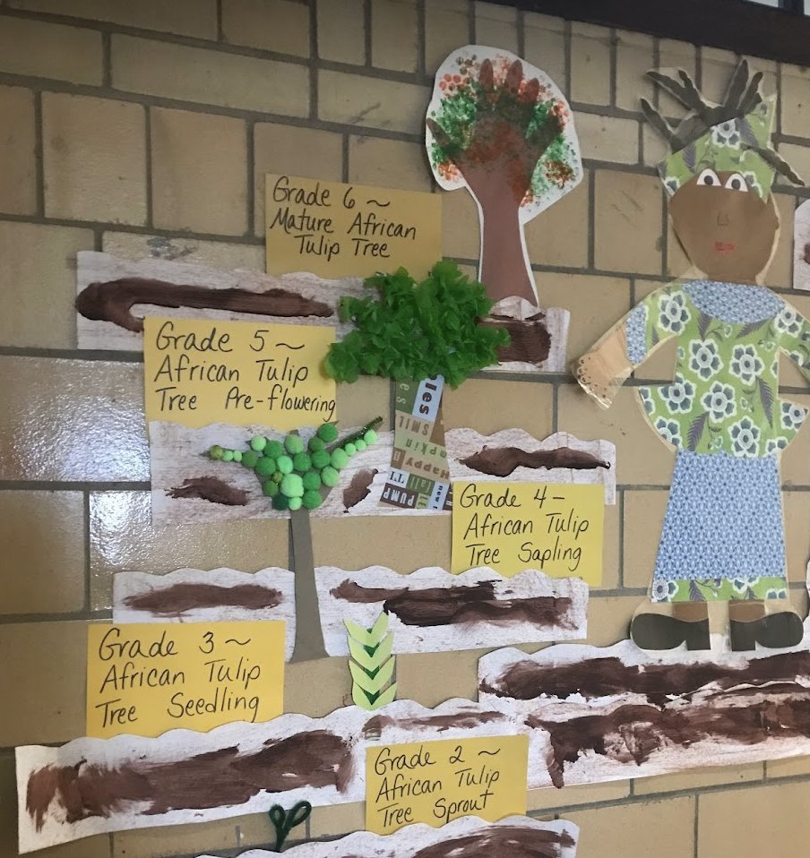 2hawks214's tweet photo. Students @hinclusion learned about Wangari's strength and perseverance today #bpsstem #bostem #massstemweek @bpsSTEMdept. Each grade 2-6 created a portion of a tree's life cycle, before learning more about @CityOfBoston tree canopies & tree deserts. https://t.co/sPesLmXzhI