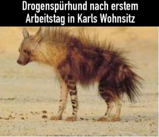 Zum Glück war der Weinkeller abgeschlossen.