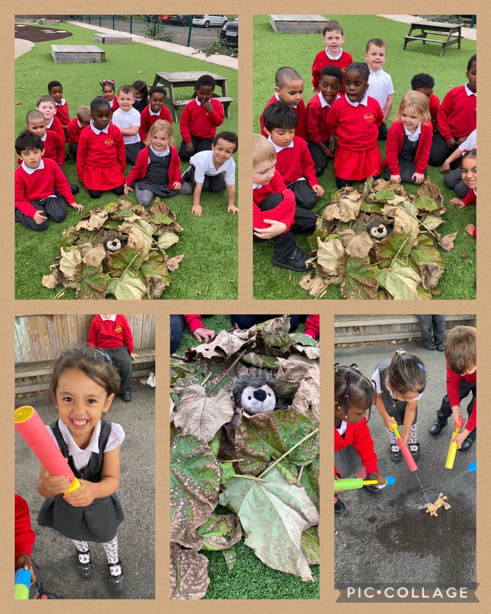 Miss Chaffe 🌈 tweet media