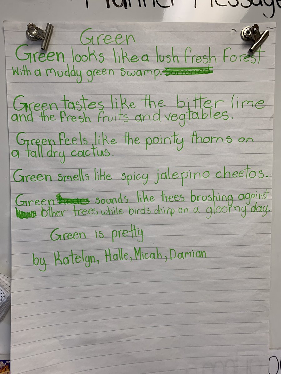 Sarah Madter (She/Her) tweet media