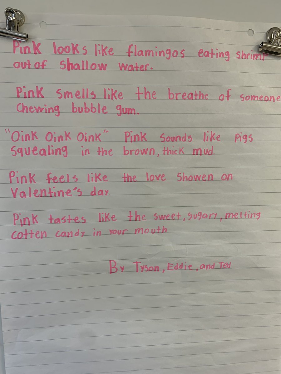 Sarah Madter (She/Her) tweet media