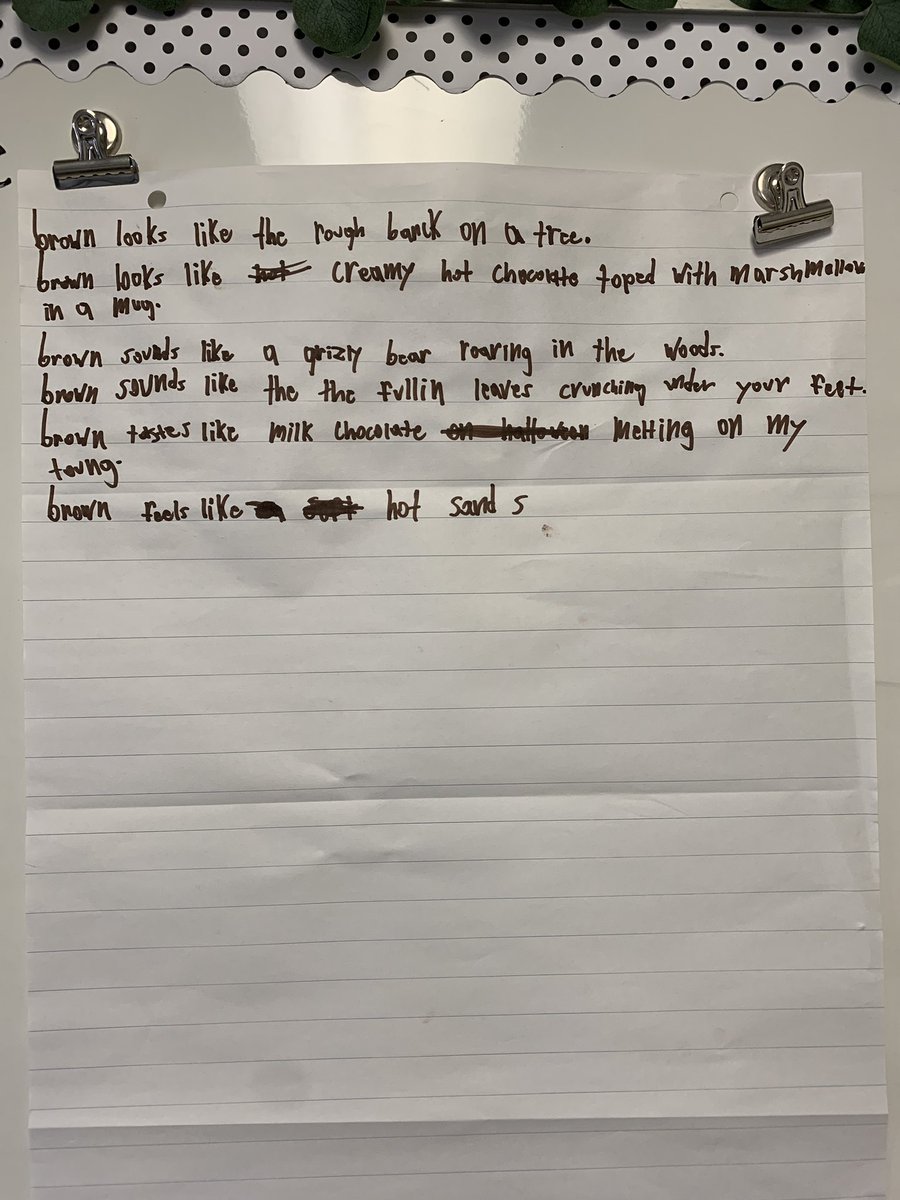 Sarah Madter (She/Her) tweet media