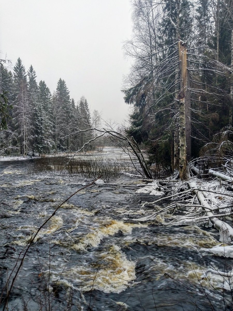 Jan Astrom tweet media