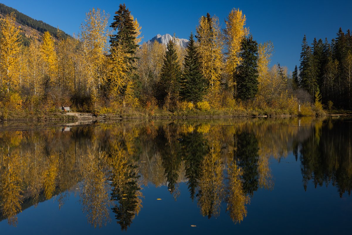 We're still walking around in t-shirts and shorts!? Didn't summer end a few weeks back?
📷 Oct 17th 2022 | Maiden Lake