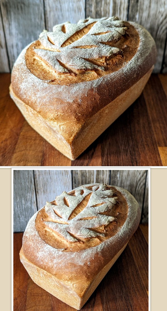 paul_holmes3's tweet photo. Nice to get back in the kitchen after a couple of hellish weeks, a nice white extra crispy white loaf @carrs_flour @CotswoldFlour #bread #realbread #yeastedbread #Artisanbread #twitterbread #crispybread #Autumn https://t.co/QhDLwFl1p1