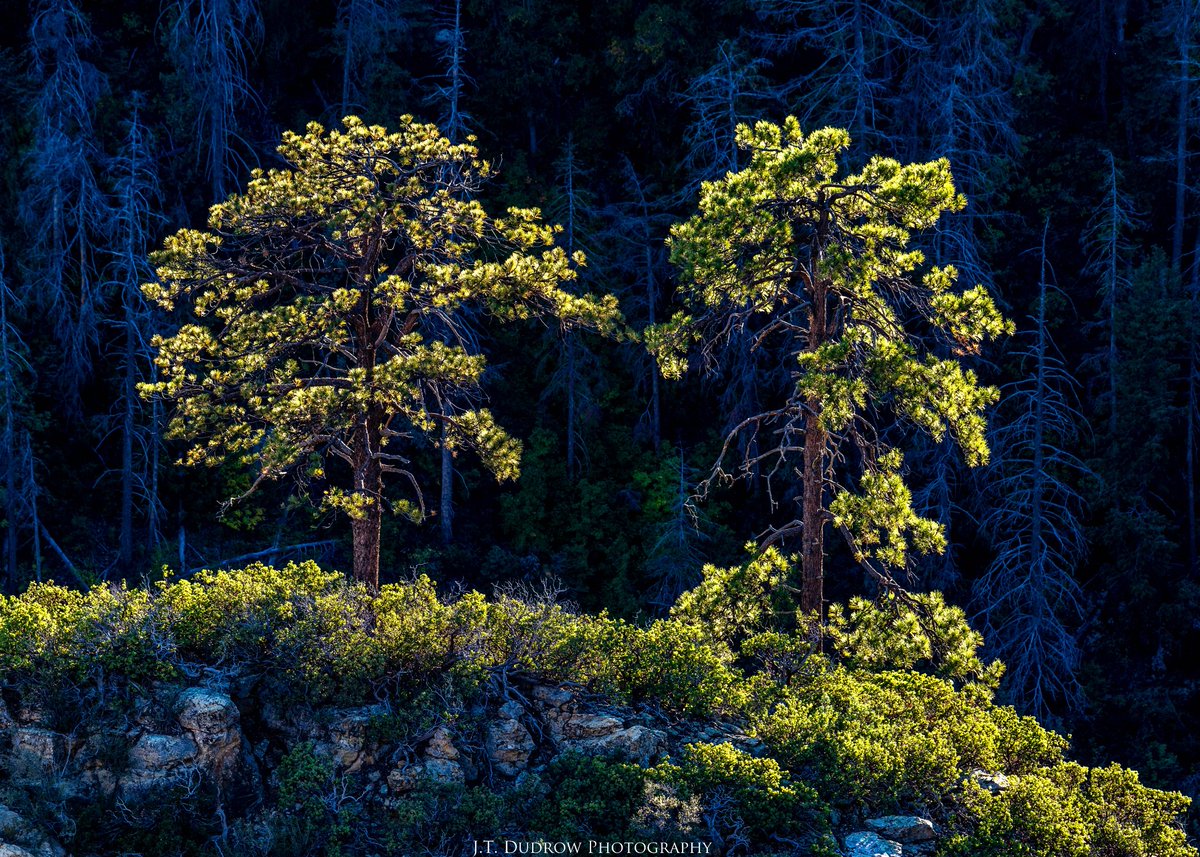 Paternal Twins #arizona #sedona #flagstaff #landscapephotography