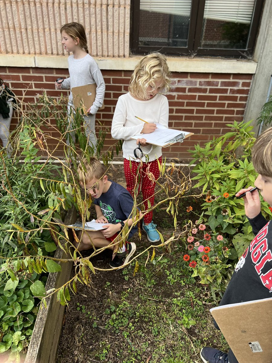 MrsCBBates's tweet photo. These RNE entomologists recorded data about their observations of insects in our school garden. We watched 🐝 pollinate flowers by buzzing from plant to plant. Outdoor lessons are the BEST! @RNEprincipal https://t.co/dCaIPwPxy6