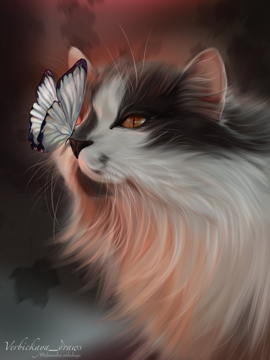 verbickayadraws's tweet photo. I drew a cat for the first time, I like it #illustration #didgital #Procreate #Illustrator #artwork #didgitalart #artwork https://t.co/iFVoDUVHLP