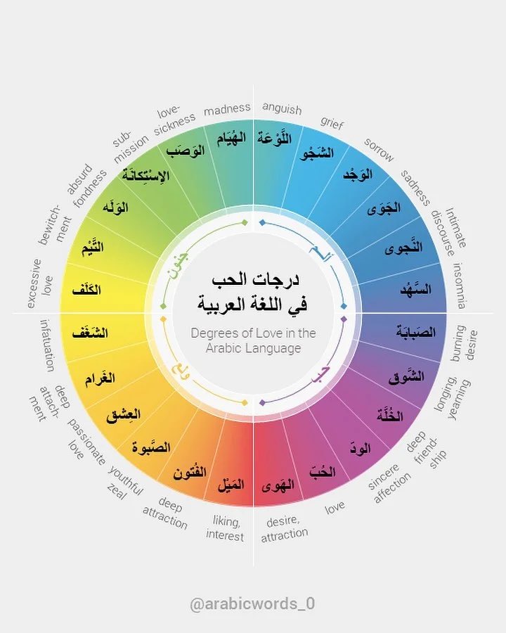 rannnda's tweet photo. next time someone confesses their feelings to you whip out the arabic love wheel and ask them to be more specific https://t.co/jokNZBA5Iw