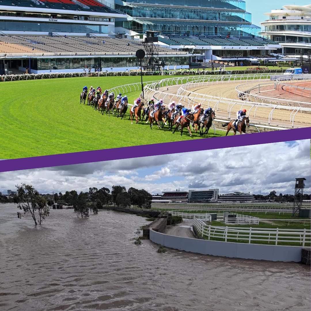animaljusticeAU's tweet photo. In 2006 the @VictorianLabor approved a flood wall to @FlemingtonVRC.
Why?
Unfortunately the profits of horse racing &amp; gambling come first.

Being on a floodplain, the wall effectively displaces water across the community, decimating homes, businesses, wildlife &amp; environment. https://t.co/zkV0FqgcjG