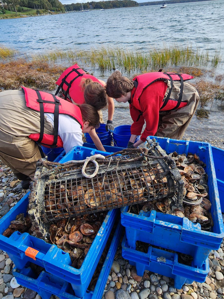 willida25's tweet photo. Shelter Island Science Club students making a difference! We spent the afternoon seeding oyster beds hoping to rebuild our reefs. We also TRIED to fly our #chasingdory drone but I think the current was too strong. TONS of FUN! @NYSMTP @STANYSorg https://t.co/ZwGi9SLhQg