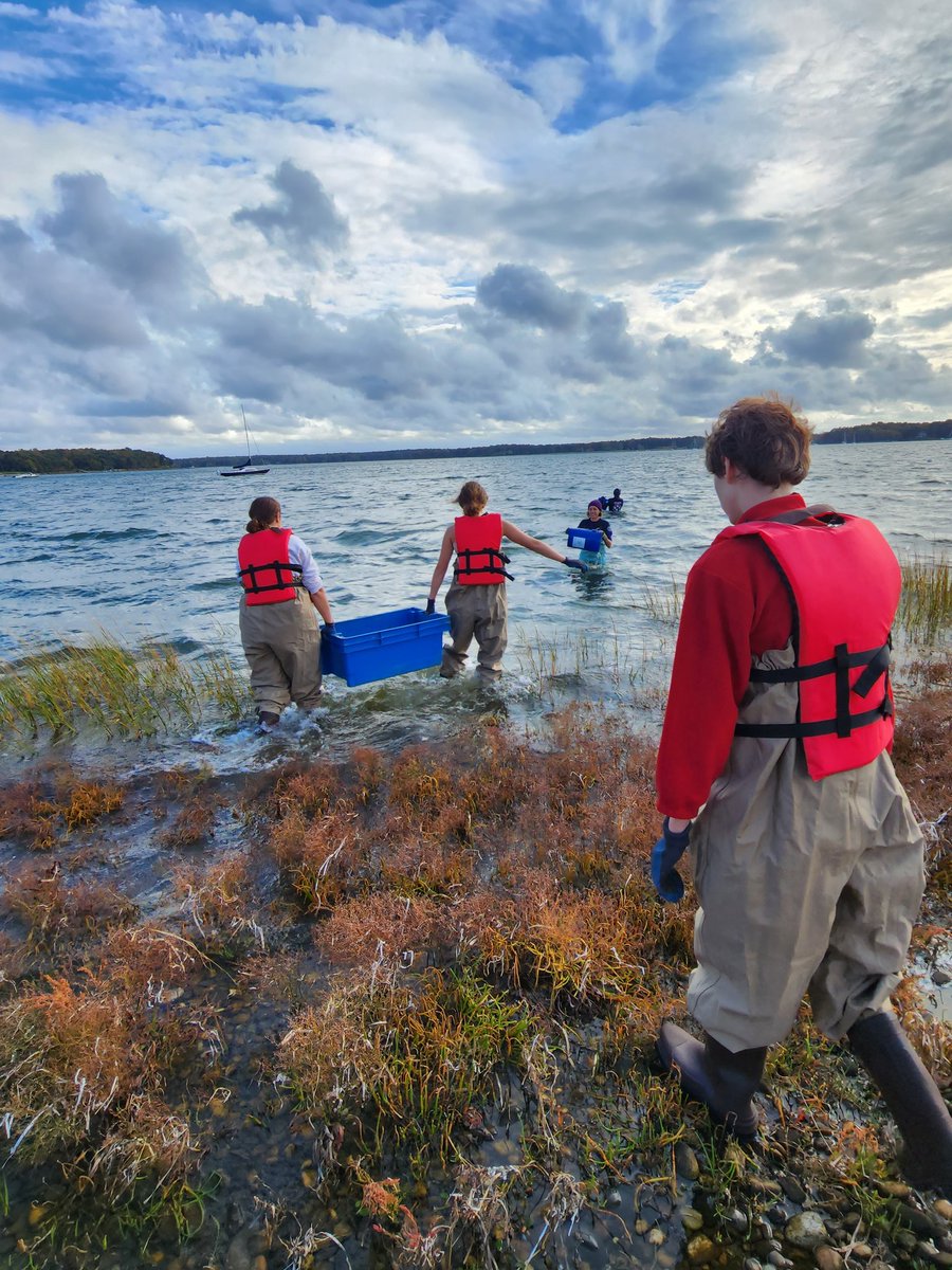 willida25's tweet photo. Shelter Island Science Club students making a difference! We spent the afternoon seeding oyster beds hoping to rebuild our reefs. We also TRIED to fly our #chasingdory drone but I think the current was too strong. TONS of FUN! @NYSMTP @STANYSorg https://t.co/ZwGi9SLhQg