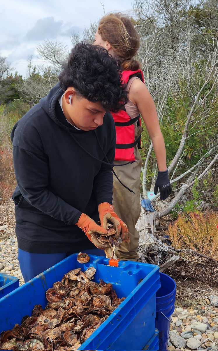 willida25's tweet photo. Shelter Island Science Club students making a difference! We spent the afternoon seeding oyster beds hoping to rebuild our reefs. We also TRIED to fly our #chasingdory drone but I think the current was too strong. TONS of FUN! @NYSMTP @STANYSorg https://t.co/ZwGi9SLhQg
