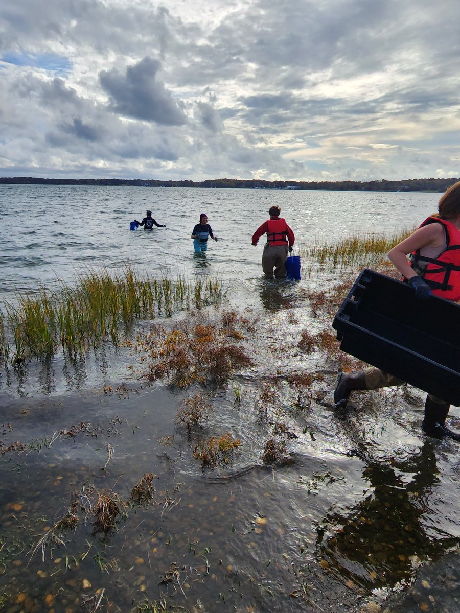willida25's tweet photo. Shelter Island Science Club students making a difference! We spent the afternoon seeding oyster beds hoping to rebuild our reefs. We also TRIED to fly our #chasingdory drone but I think the current was too strong. TONS of FUN! @NYSMTP @STANYSorg https://t.co/ZwGi9SLhQg