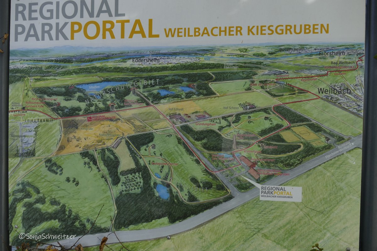 In den Weilbacher Kiesgruben...................... #Naturschutzgebiet  #Ausflugsziel #Ausflugstipp #Turm #WeilbacherKiesgruben #RegionalparkRheinMain #Regionalpark #Regionalparkroute #Flörsheim #Weilbach #MTK #MainTaunusKreis #Hessen #Germany