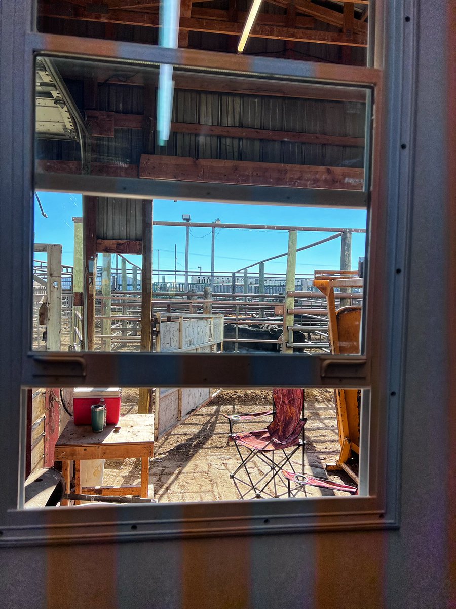 btrout22's tweet photo. Generally a person has to pay a lot of money for box seats.
Not here. Here you get paid to sit in the best seat in the house.
Life is always better surrounded by a little cowshit.
#TeamHeifer
#FallRunFantastic https://t.co/awerV5mk8O
