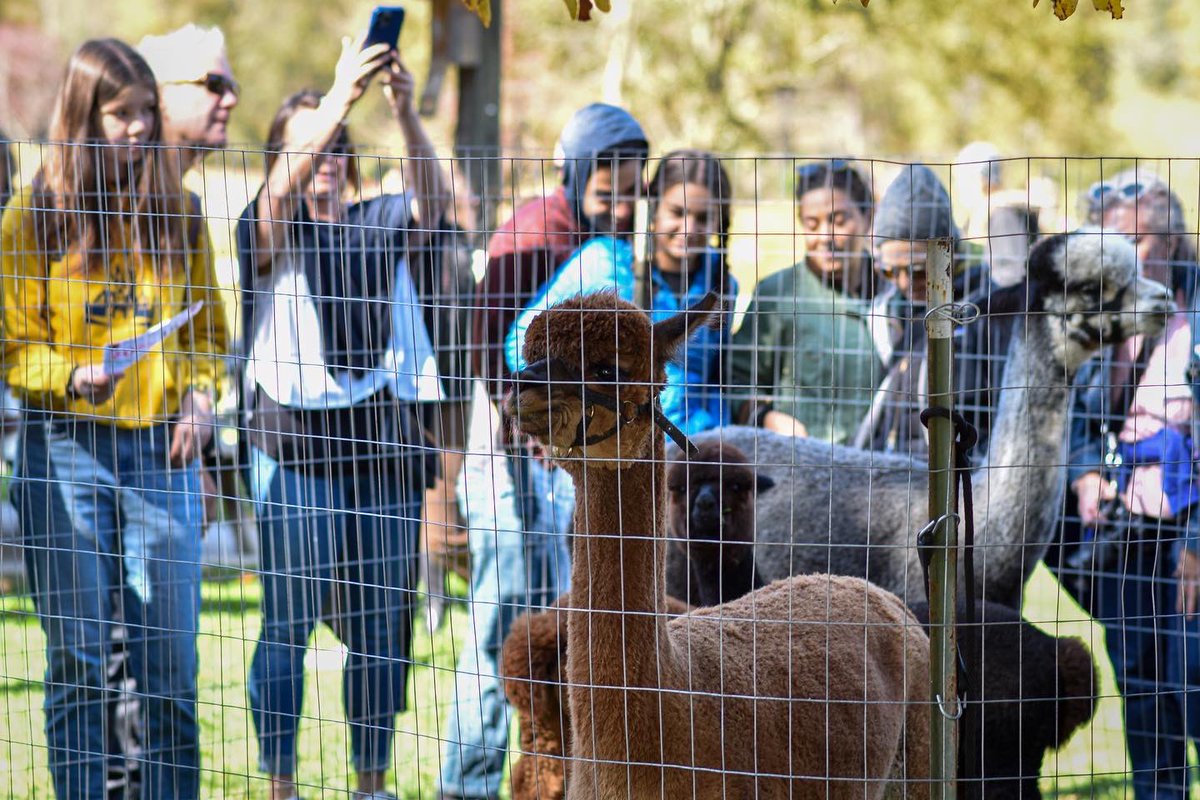 KenyonCollege's tweet photo. Family Weekend festivities at @TheBFEC Harvest Festival 🍁🎃

Photos by Ayman Wadud ’25 https://t.co/DmfQyQ2nis