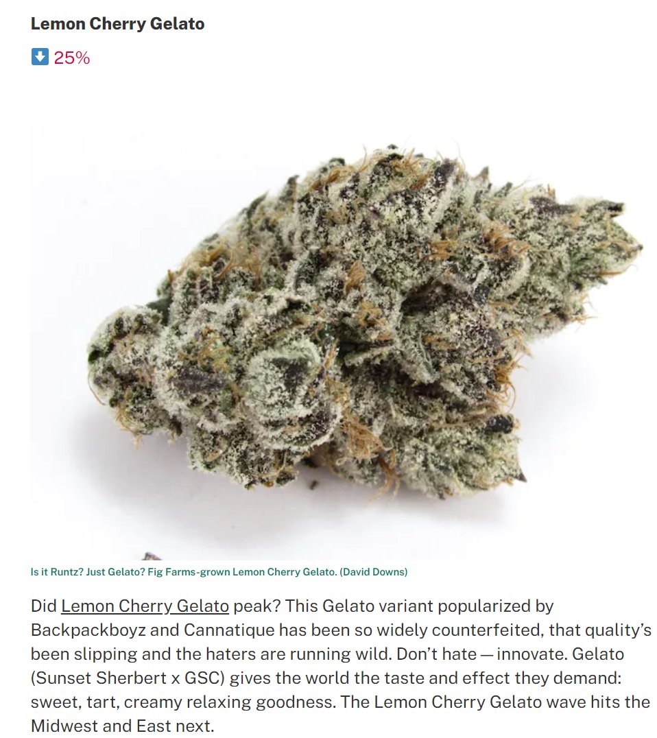 AZMEDREV's tweet photo. Leafly Buzz: 12 top cannabis strains of October by @davidrdowns
Lemon Cherry Gelato @backpackboyzclb, Great write up about it on @Leafly and you want the realest stop by #backpackboyz locations grab you some, trust me you are going to love it
#BPBC #5pointsca #cannabisculture https://t.co/fXdCPoPiia