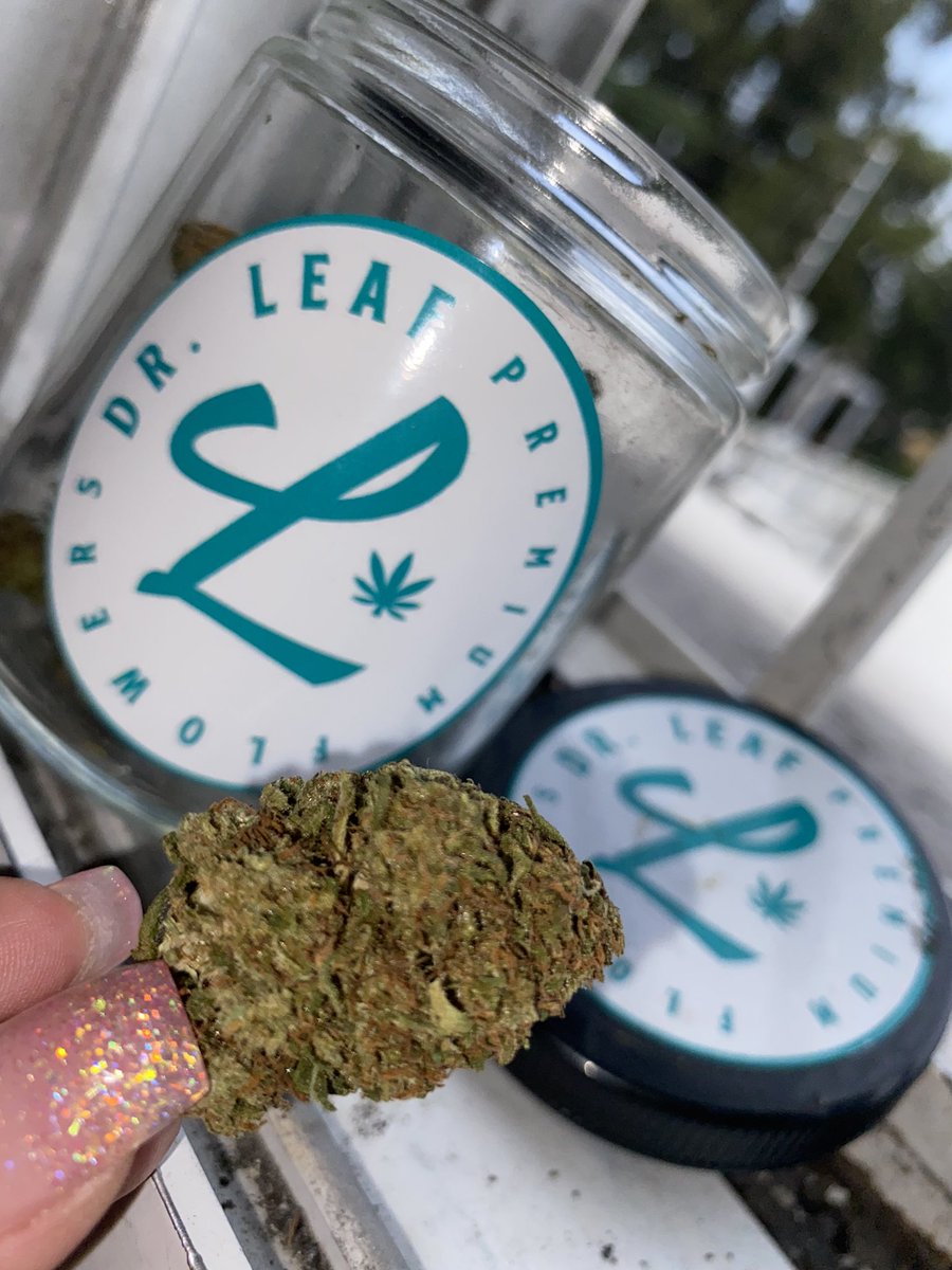 drleafmx's tweet photo. Premium Flowers 🌿 

Muchos strains disponibles🦨 

Mas información x msj🕊 #Drleaf
A la orden✅ https://t.co/4DvJKgl9TT