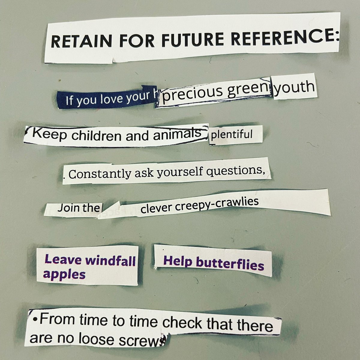 JoannaBarnard76's tweet photo. Using an RHS magazine and habitat desk assembly instructions, I had a go at #foundpoetry @farnhammaltings #writingforwellness https://t.co/XrZ6udyfVJ