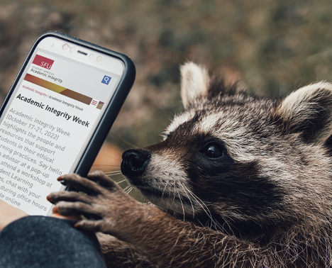 SFUFASS's tweet photo. Oct 17-21 is Academic Integrity Week! Learn about the resources at SFU to help you succeed on your own.
https://t.co/p3Hlr3JEAE
#AcademicIntegrityWeek #excelwithintegrity #myownwork https://t.co/TMCXdfjkLd