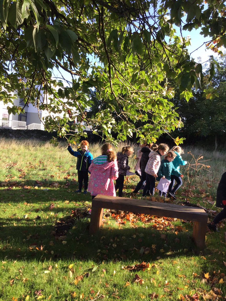 Ms_LKennedy's tweet photo. Lots of exploring and gathering during our Autumn walk today🍂🌿🍄🍁@ns_quin https://t.co/sThSEU1b0Y