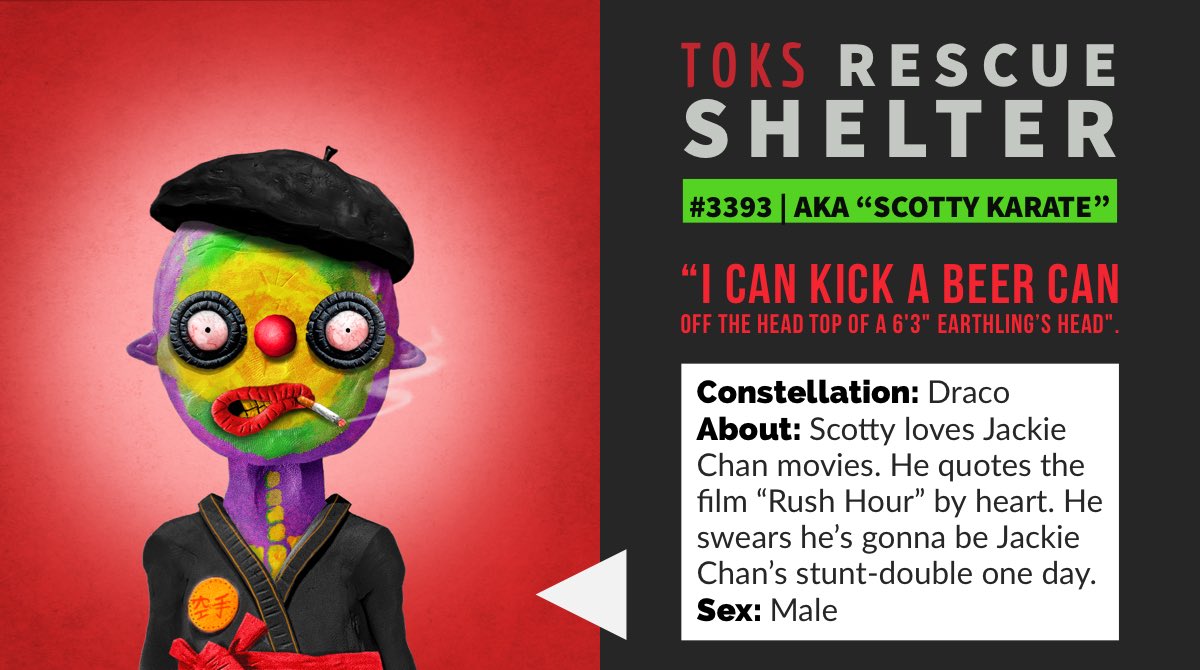THETOKSNFT's tweet photo. #TOKS rescue shelter was created to ensure that NO #TOK is left behind! #TOKATHON https://t.co/8QF6g33HNw