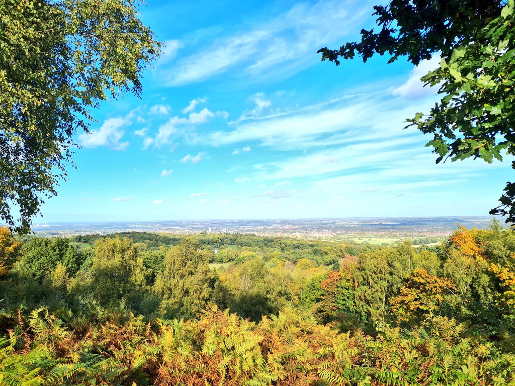 A Monday stroll to the top of Beacon Hill, Leicestershire