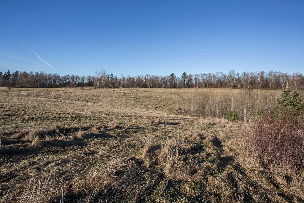 City of Abbotsford tweet media