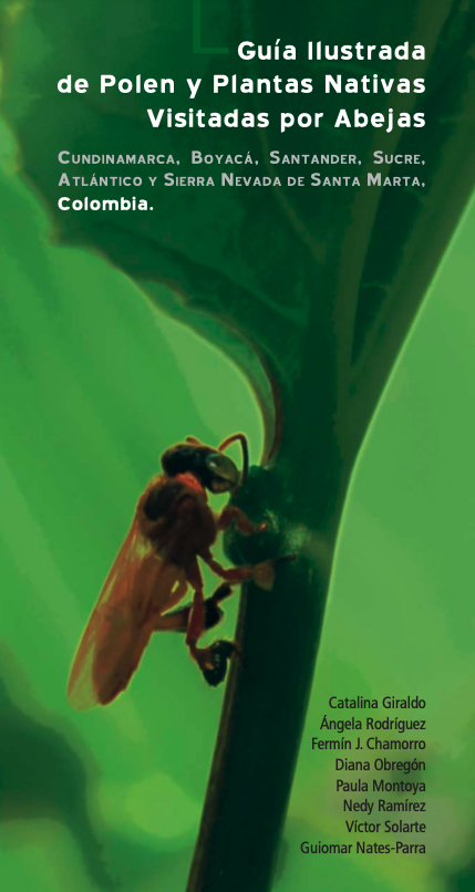 dianaobregonc's tweet photo. Hace unos años publicamos en físico esta guía de polen y plantas visitadas por abejas en Colombia. Ahora finalmente se encuentra digital para el disfrute de todos https://t.co/0JDEPVk5kf https://t.co/Gv8vPqYrhG
