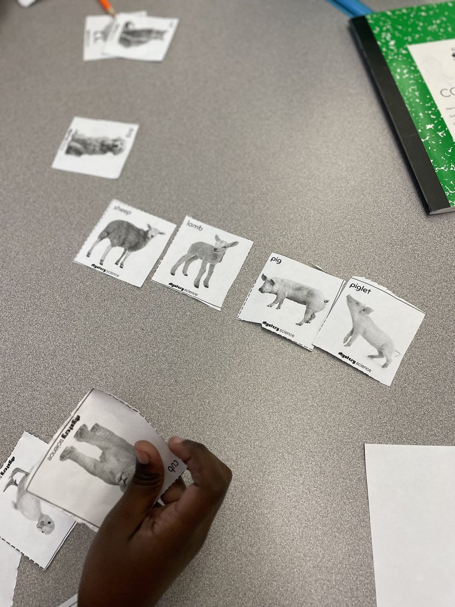 ps24Flaherty's tweet photo. First grade scientists are learning about inheritance and variation of traits. In this activity, we learned that baby animals are similar to their parents. https://t.co/wjeHnNAlGl