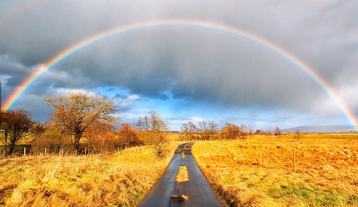 AvatarCorner's tweet photo. @wabdoteth @elonmusk @stormrdoteth @chubbicorn80 Think rainbows deserve the real credit 😁 https://t.co/7dN2Lw0aTm