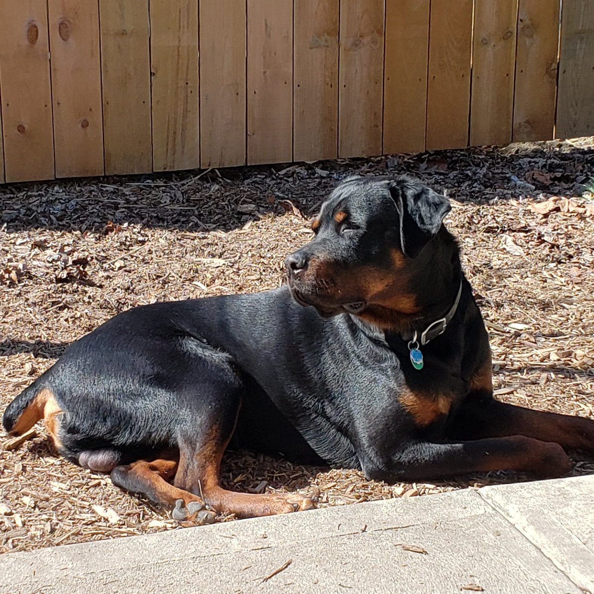 kelly smith tweet media