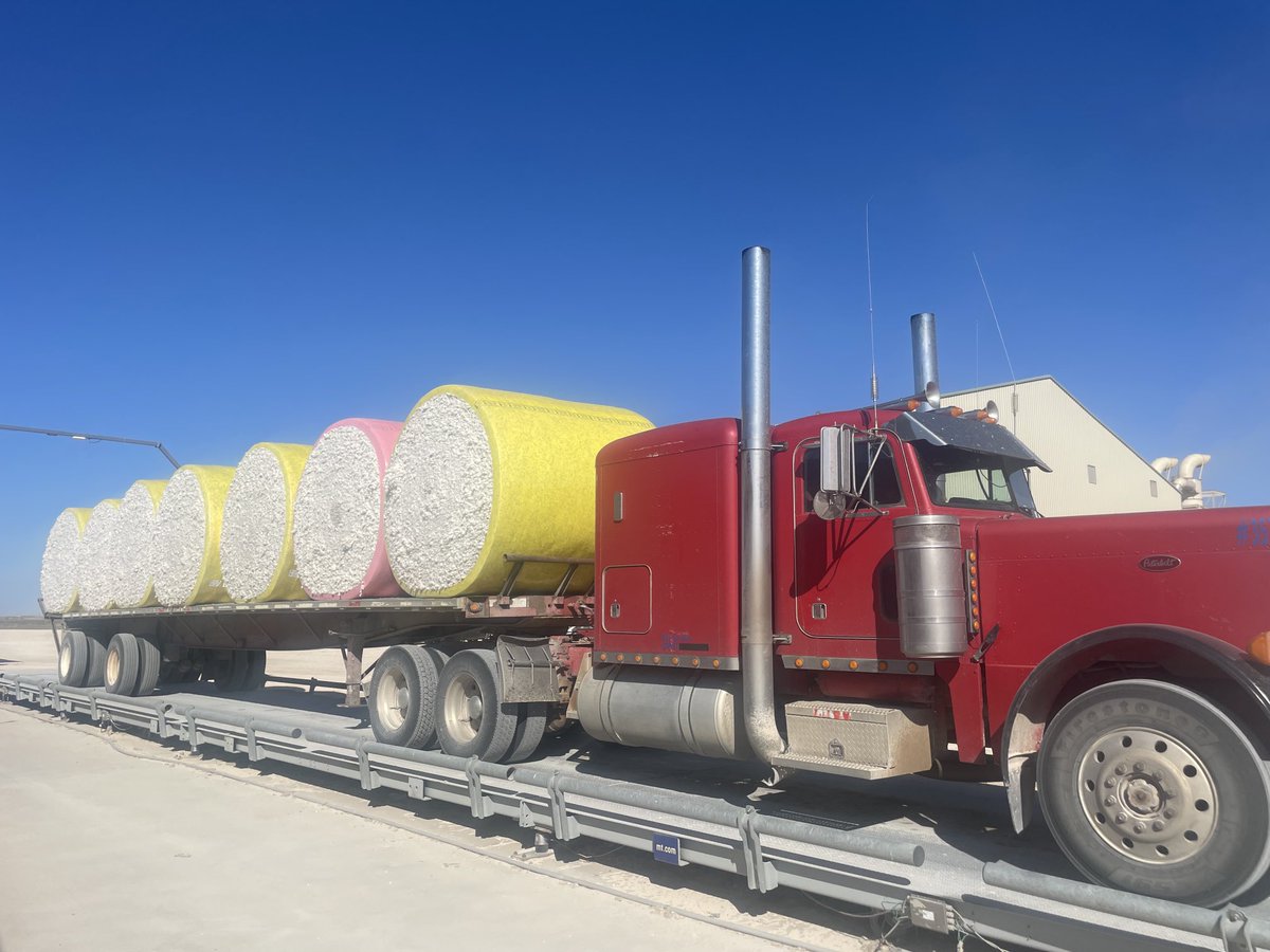 scott sonnenberg (@scottsonnenber2) on Twitter photo β¦<a href="/StephanusVerma1/">Stephanus Vermaak</a>β© got your first load of cotton across the scales!!! I'm pretty excited to gin your first cotton crop. Thanks for the opportunity!!!
#COTTON2022
#OKLAHOMACOTTON #COTTONGONNACOTTON β¦<a href="/StephanusVerma1/">Stephanus Vermaak</a>β© got your first load of cotton across the scales!!! I'm pretty excited to gin your first cotton crop. Thanks for the opportunity!!!
#COTTON2022
#OKLAHOMACOTTON #COTTONGONNACOTTON