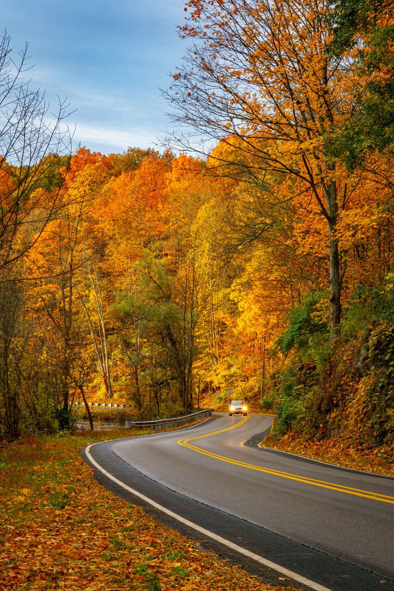 Rob Springall tweet media