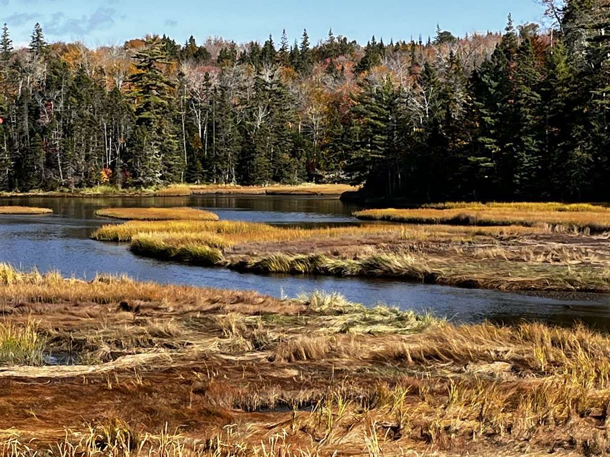 SSpellmanCann's tweet photo. What a perfect day on the #cabottrail #CapeBreton #walkalongwithme https://t.co/hR6eYPxWEu