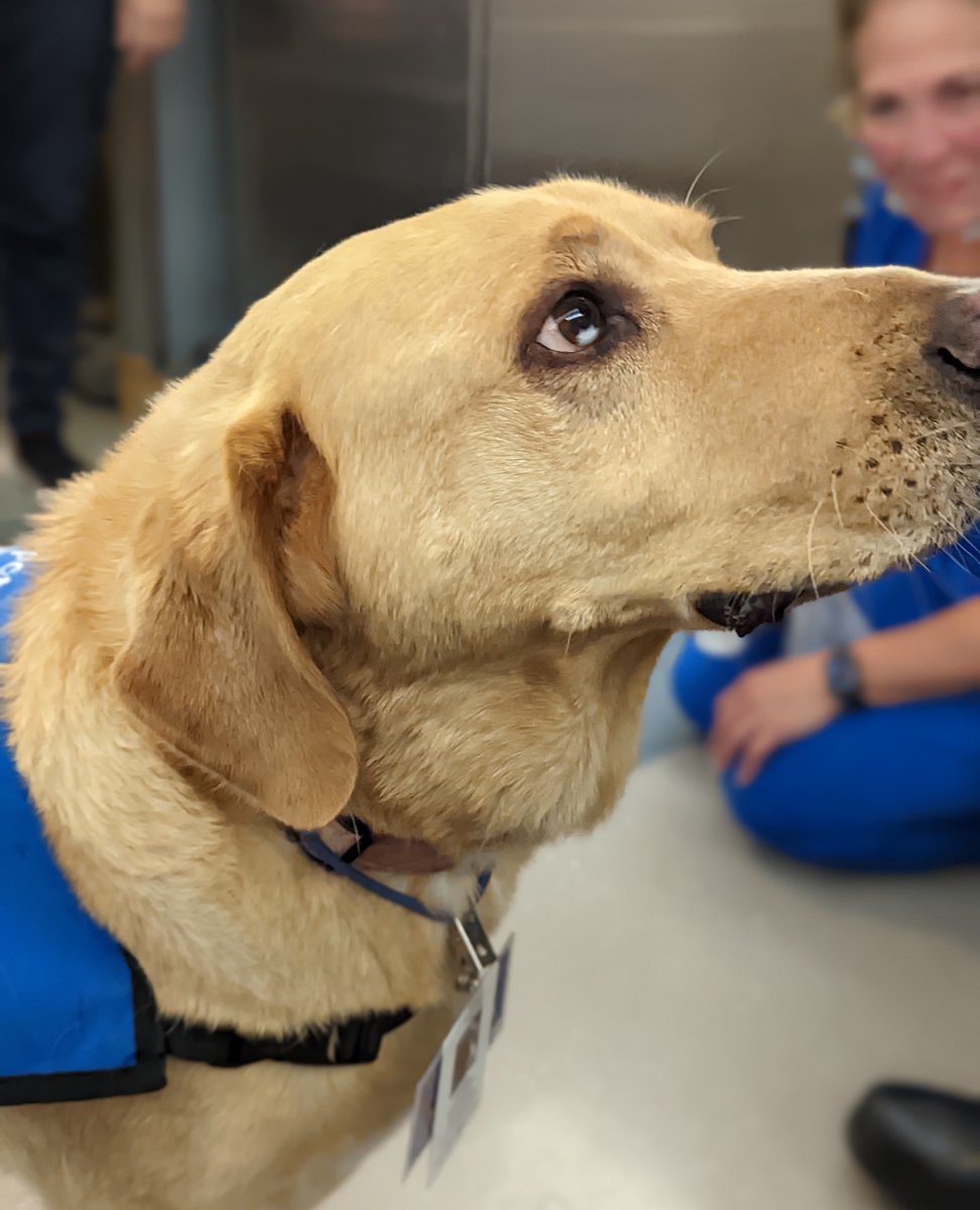 Baystate Emergency Medicine tweet media