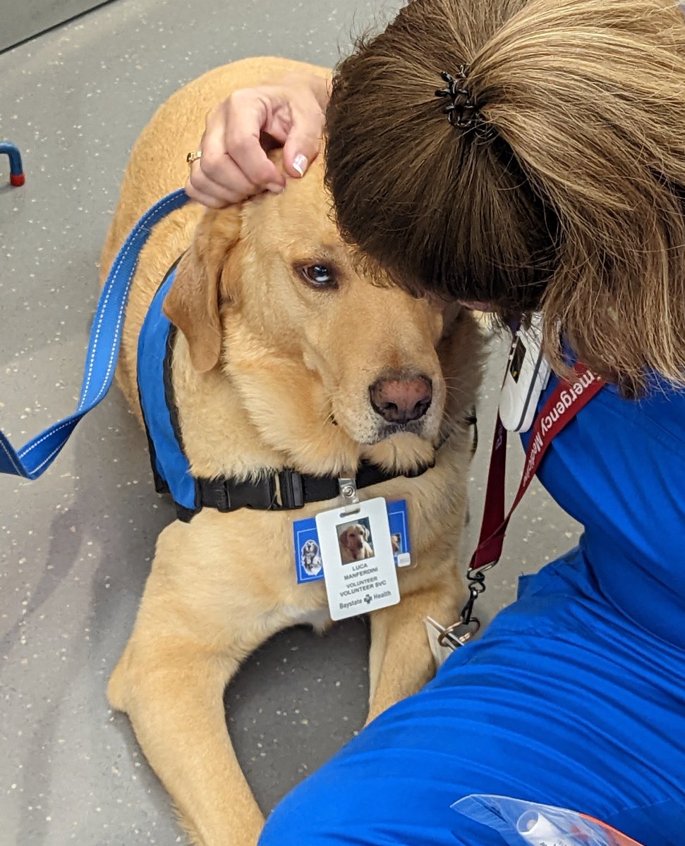 Baystate Emergency Medicine tweet media