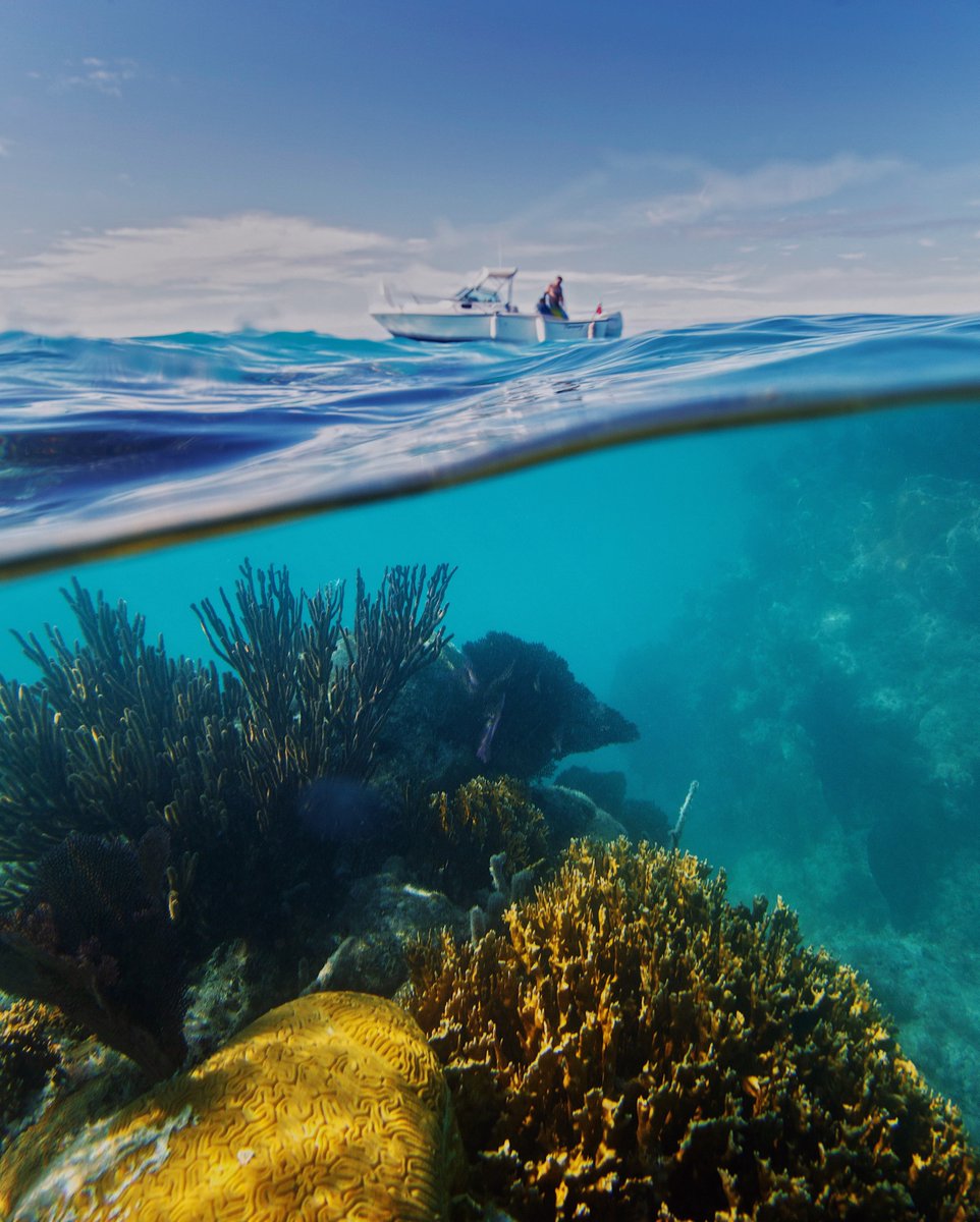 photomeredith's tweet photo. Always go a little further into the water than you feel you're capable of being. Go a little bit out of your depth and when you don't feel your feet are quite touching the bottom, you're just about in the right place to do something exciting. - David Bowie https://t.co/VK9gtP8aKr