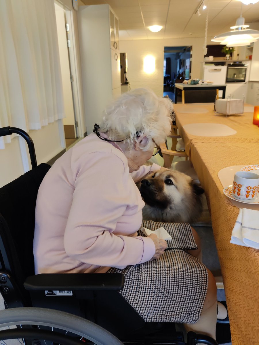 Teologinen's tweet photo. Der skal oprettes flere plejehjem, hvor beboerne kan have deres kæledyr med. #DeÆldresStatsminister #OgBørnenes #VoteForHvalp https://t.co/BPdoiaOpqf