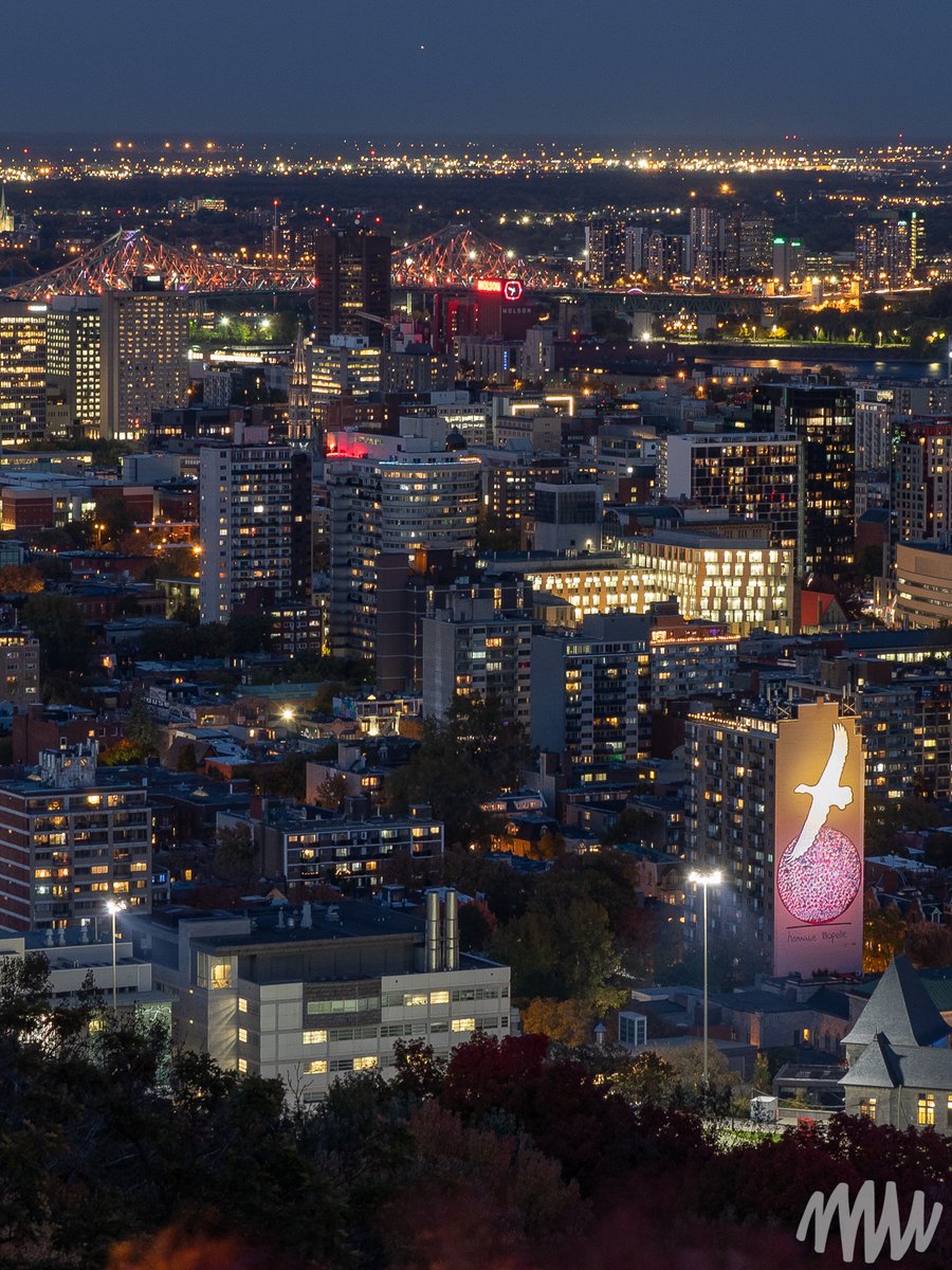 Monmontreal's tweet photo. Regard sur ✨ L’art magnétique ✨ la murale hommage à Jean Paul Riopelle.

🎨 Marc Séguin

📷 : Olivier Bousquet @MUMtl #Montréal #MTLmoments https://t.co/BPTM9t7RuM