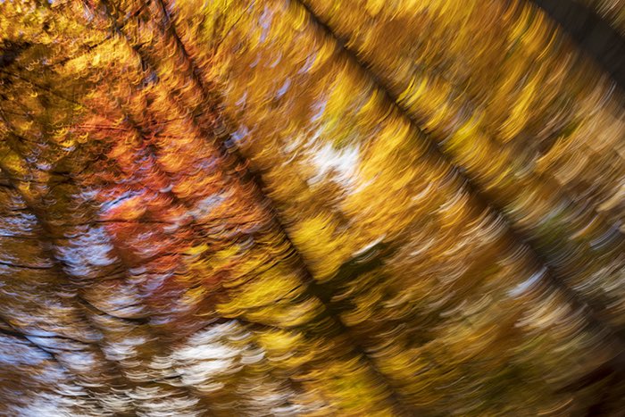 Matthew J. Kirsch Photography tweet media