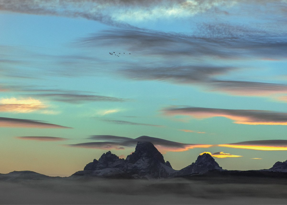 let me go free forever