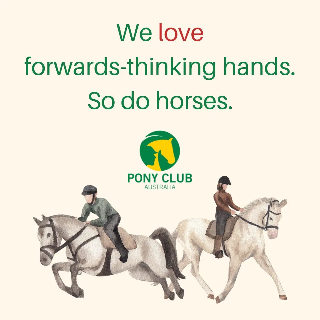 PonyClubAus's tweet photo. Forwards-thinking hands preserve your horse's natural movement and keep your aids clear and effective.

You can help your hands to think more forwards than backwards by imaging they are made of metal and the bit ring is a magnet.

#mindset #visualisation #horseriding https://t.co/SOB1LZkPa7