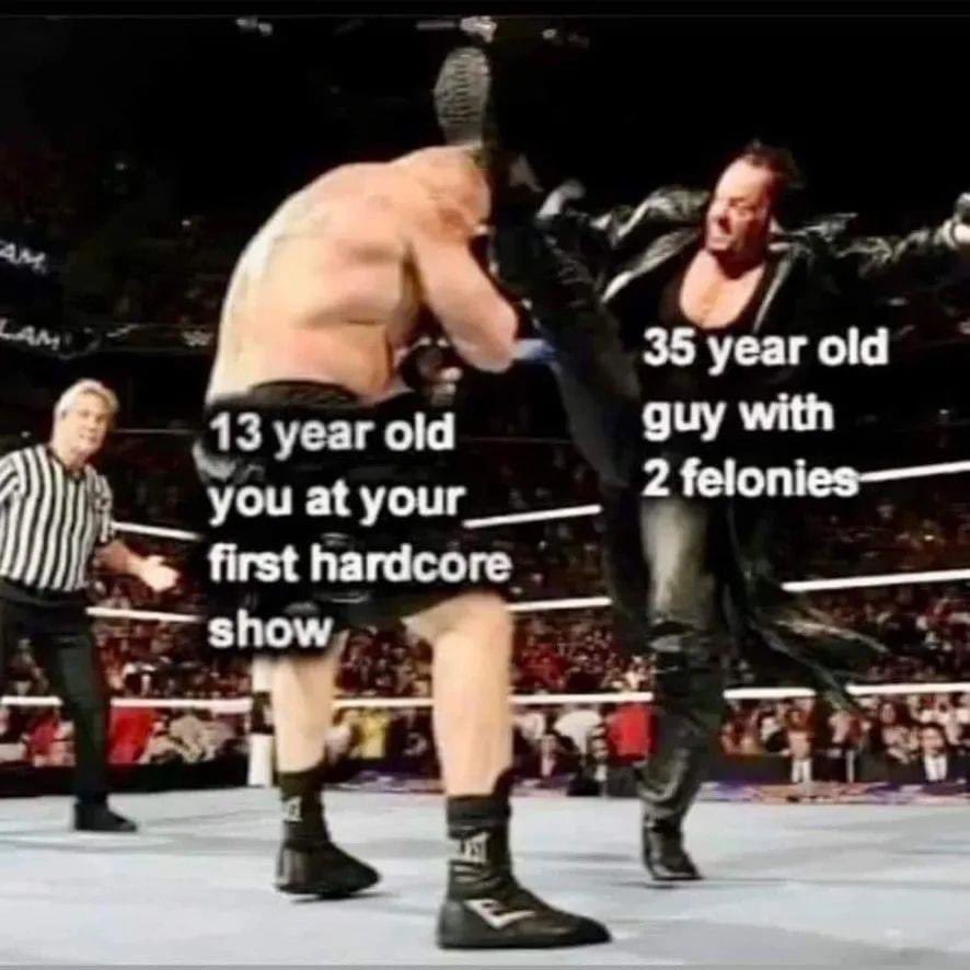 Riot Fest tweet media