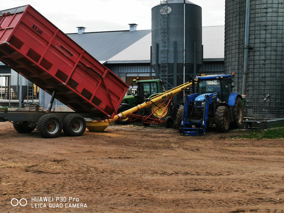 Nelson74 tweet media